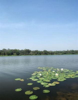 ¿Te atreves a explorar el misterioso Reino de la Fauna en Ibadan? Un paraíso para amantes de la naturaleza y los animales salvajes