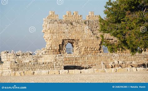 ¡Sumérgete en la Historia con la Fortaleza de Loşça! Un antiguo bastión otomano y un paraíso para los amantes de la fotografía.