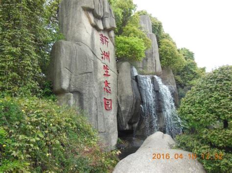  ¡Explora las maravillas de la naturaleza en el Parque Xinzhou, un oasis verde en Huangshi!