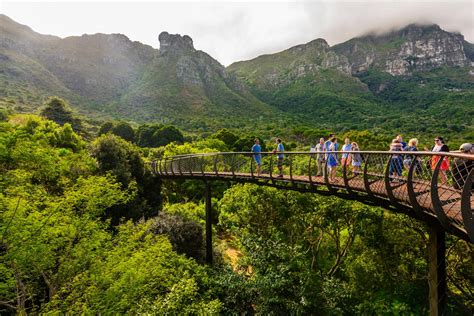  El Jardín Botánico de Kirstenbosch, un santuario natural de exuberante belleza y biodiversidad!