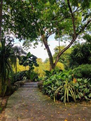  ¡El Jardín Botánico de Kuala Lumpur: Una joya tropical para la relajación!